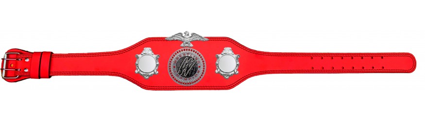 WRESTLING CHAMPIONSHIP BELT-BUD004/S/WRESTGEMS-4 COLOURS